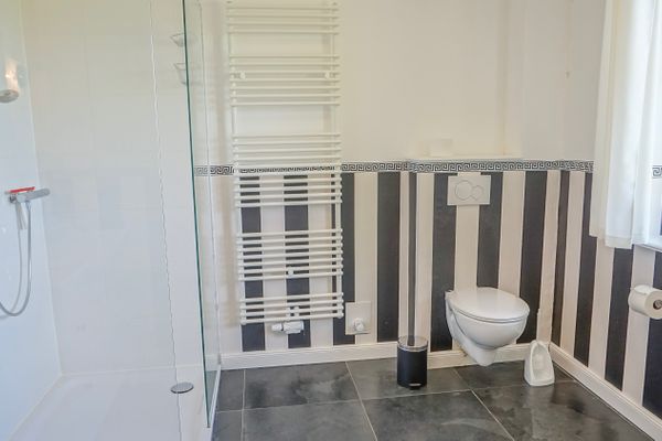  Reetdachhaus Dünenwarft Tönning - Toilette