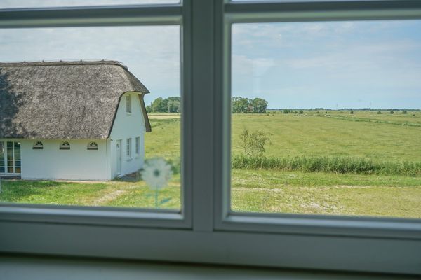  Reetdachhaus Dünenwarft Tönning - Landschaft