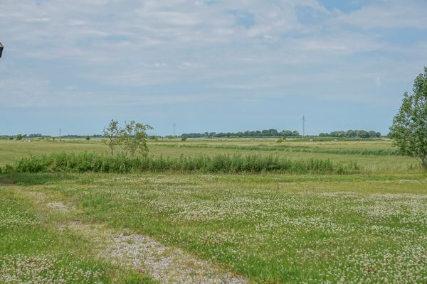  Reetdachhaus Dünenwarft Tönning - Landschaft