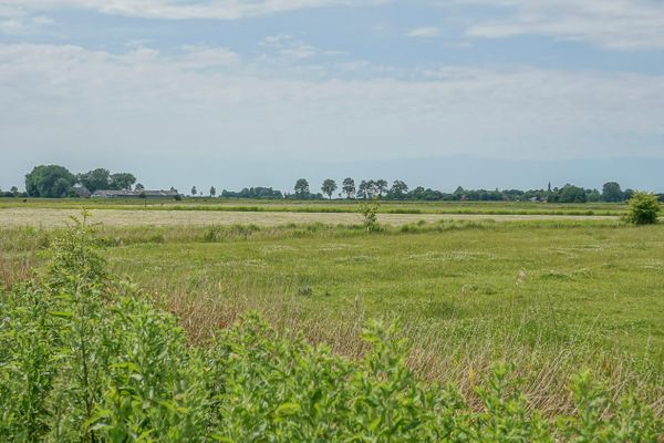  Reetdachhaus Dünenwarft Tönning - Landschaft