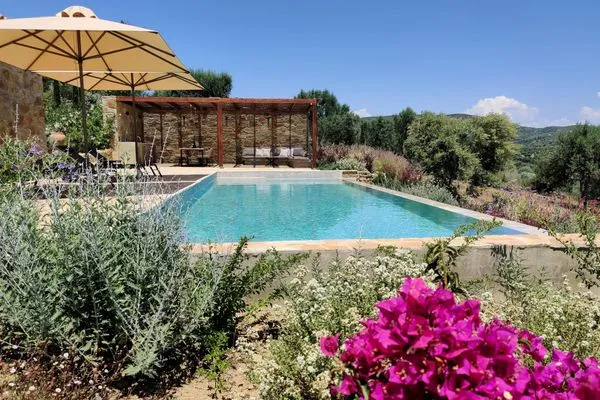 Pool  Finca Morea
