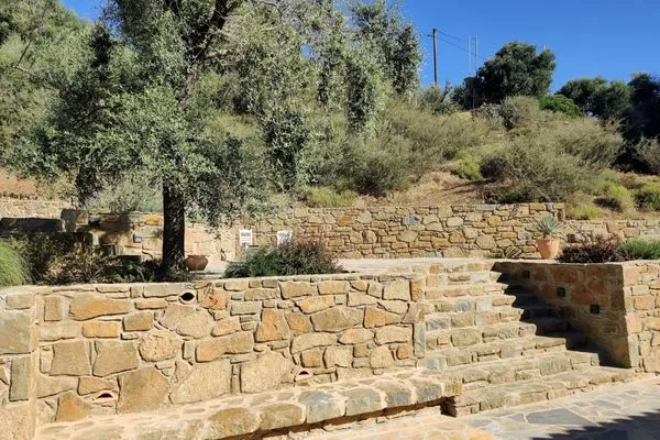 Garten  Finca Morea