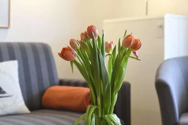 Dekoratives Detail Haus Janine Ferienwohnung Fasanenblick