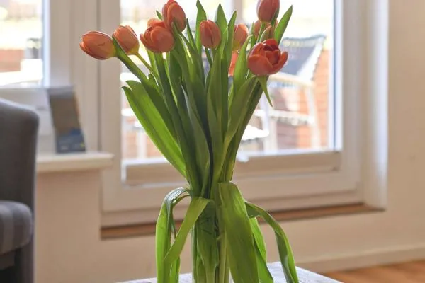 Dekoratives Detail Haus Janine Ferienwohnung Fasanenblick