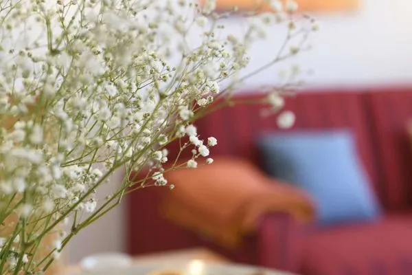 Dekoratives Detail Haus Janine Ferienwohnung Seestern