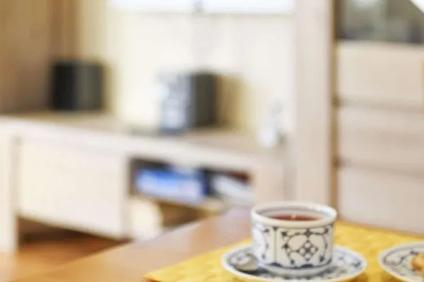 Dekoratives Detail Haus Janine Ferienwohnung Strandburg