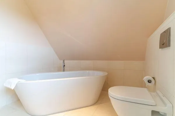 Reetdachhaus Waterküken Waterküken SPO Boehl - 