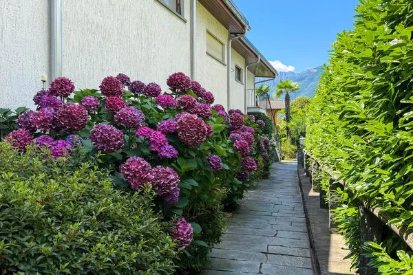   Residenza Vecchio Fiume