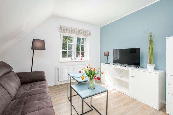Hittigeigei Whg. 4 Amrum - Wohnzimmer