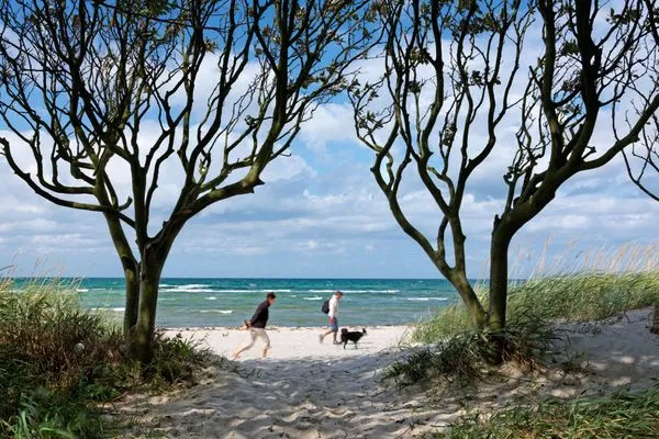Beach  Haus Blauer Schwede