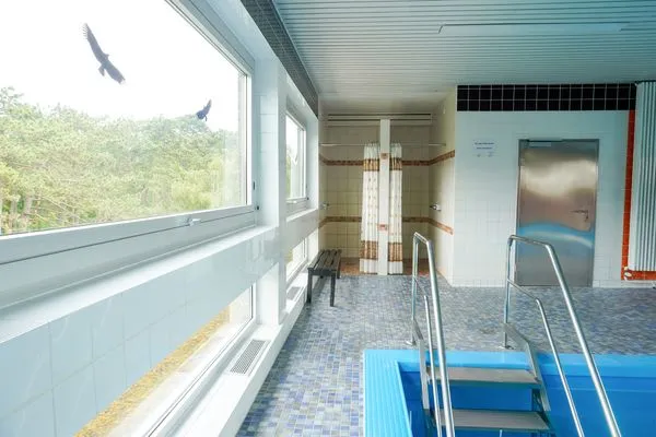 Pool  (ROD32) Ferienwohnung "Schneider"