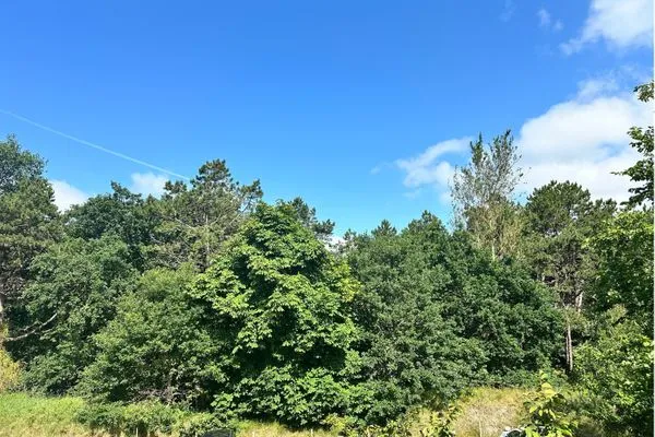Gartenblick  Anne Küste