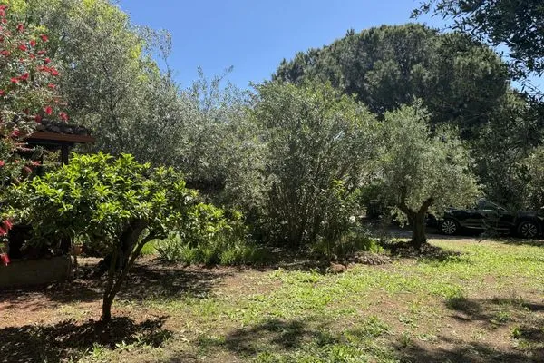 Garden  Spiti Nicola
