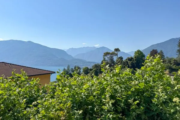   Res. Roncaccio, Cancro