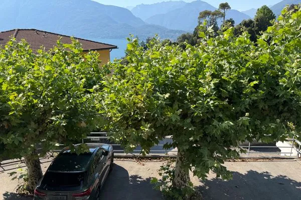   Res. Roncaccio, Cancro