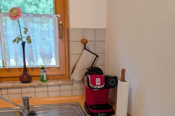 Küche / Küchenzeile Ferienpark Freesenbruch Wohnung 2.3 - Waldesruh