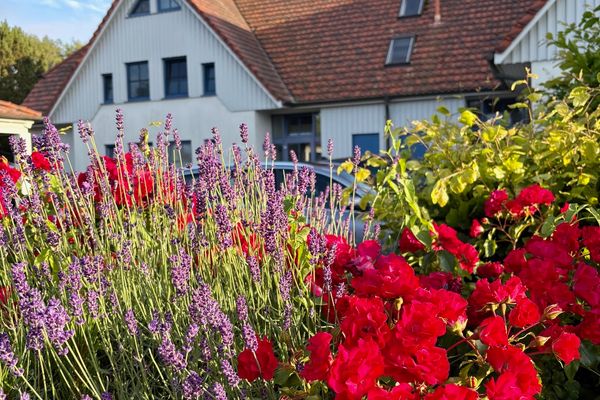 OEWERN DIEK Haus Waderkierl, App. 26 Ostseebad Wustrow - 