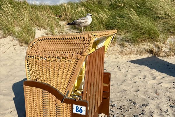 OEWERN DIEK Haus Waderkierl, App. 26 Ostseebad Wustrow - 