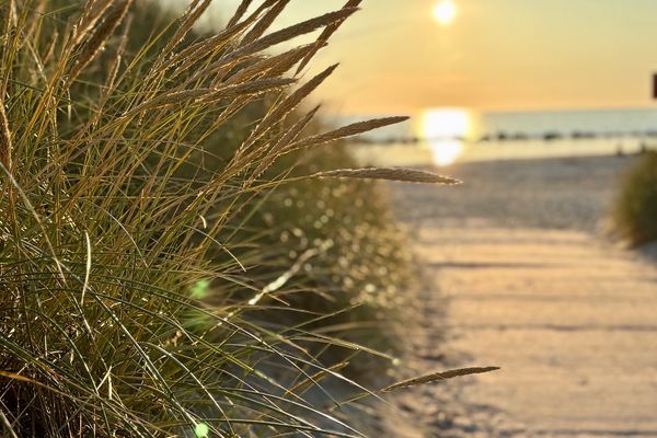 OEWERN DIEK Haus Waderkierl, App. 26 Ostseebad Wustrow - 