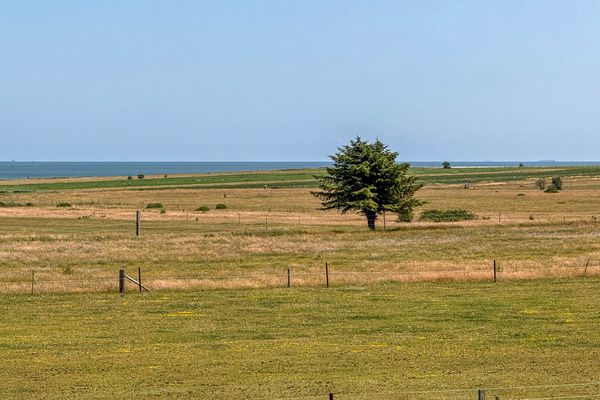 Witjhüs Whg. 5E Amrum - Meerblick