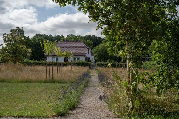  Seemannshaus Born Born - Garten