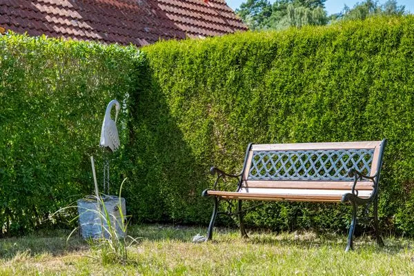 Sitzbank im Garten Ferienpark Freesenbruch Reihenhaus 6 - Delfin