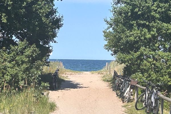Achtern Diek Haus 12d/1 PALSTEK Zingst - 
