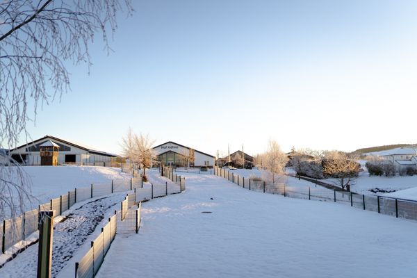 Adventszauber Einstimmung auf den Advent  - Landschaft