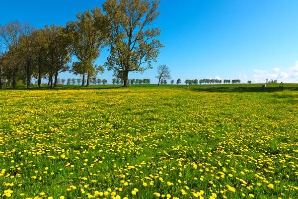 Scenery  Kirchturmblick