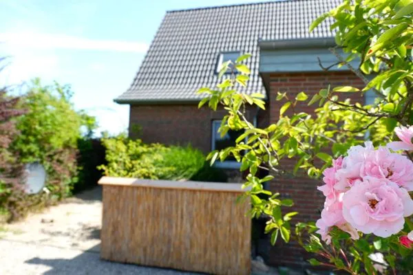 Westseite mit Abendterrasse  Ferienhaus Friedrich 15