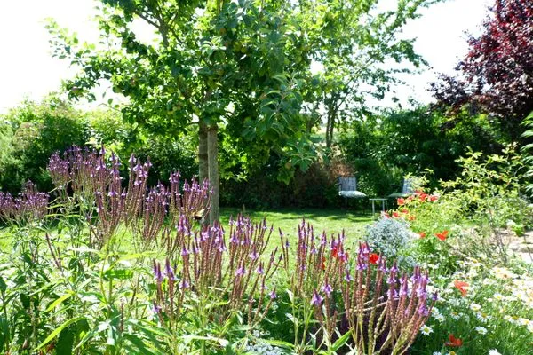 Gartenimpressionen Ferienhaus Friedrich 15  Ferienhaus Friedrich 15