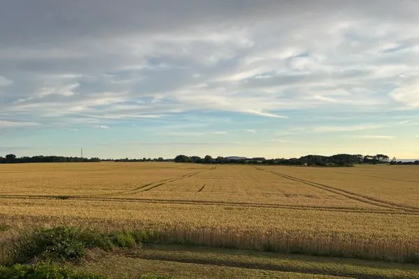 Meerblick  Ferienwohnung Inselblick - bis Hiddensee und nach Mön