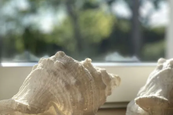 Dekoratives Detail Haus Nordland Ferienwohnung Dünenkoje