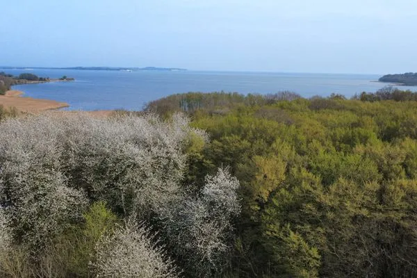 Landschaft  Ferienwohnung im Kollhof - Ruhe und Natur im Süden Rügens