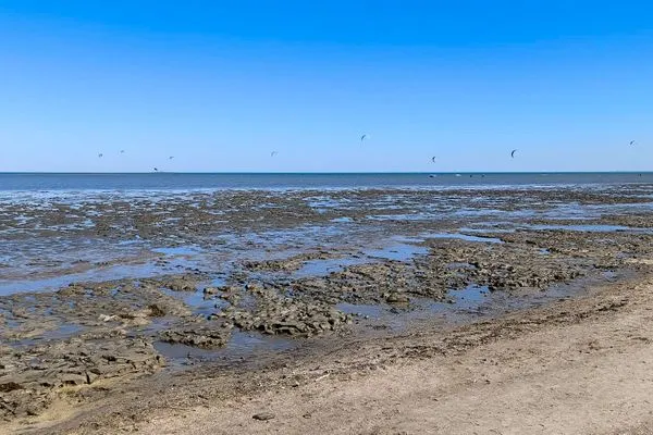 Strand bei Ebbe  Inselblick (E014)