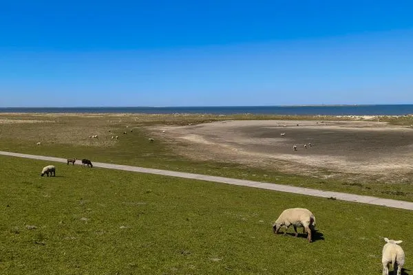Strand  Meerglück (50.0.M)