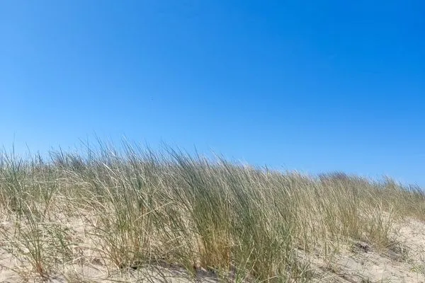 Strand  Meerglück (50.0.M)