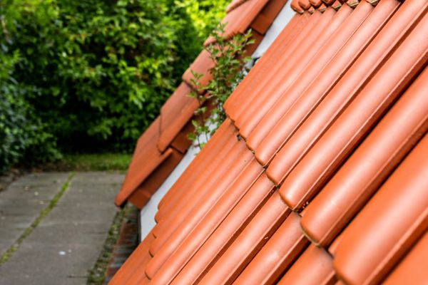  Haus Leevje Neuharlingersiel - Dekoratives Detail