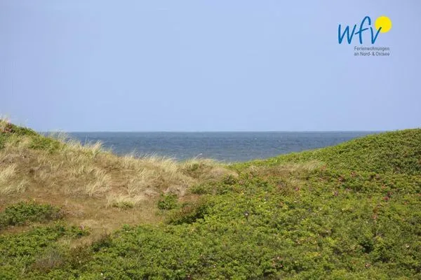 Meerblick Bootshaus in den Dünen - 4 Ferienwohnung Dünenkoje