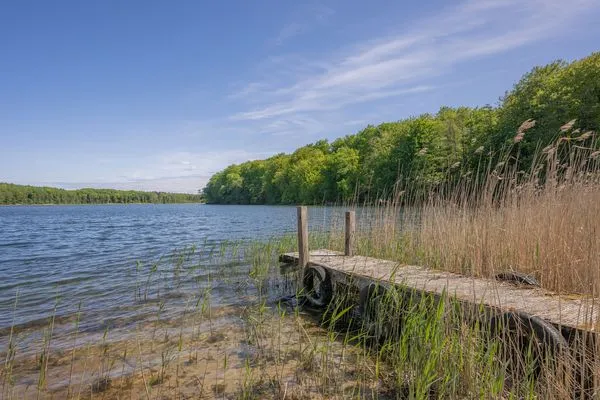 Landschaft Villa Petra App. Ahlbeck mit Balkon, Kamin und Seeblick