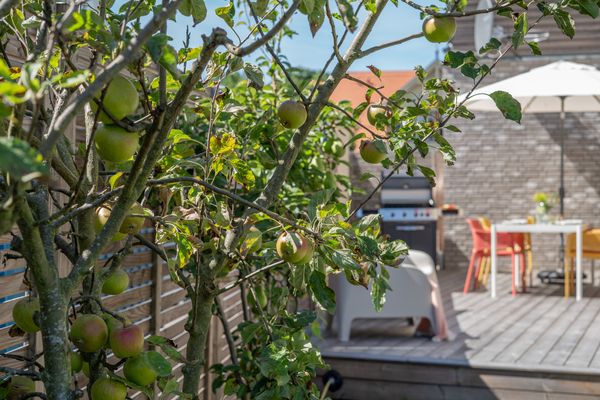  pinkFEIN Zingst - Garten