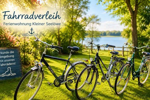 Sport / Aktivitäten  Ferienwohnung Kleiner Seelöwe
