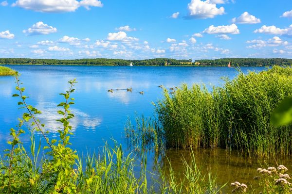  Neeberger Bootshus am Achterwasser Neeberg - Nachbarschaft