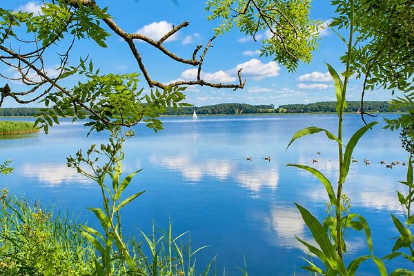  Neeberger Bootshus am Achterwasser Neeberg - Landschaft