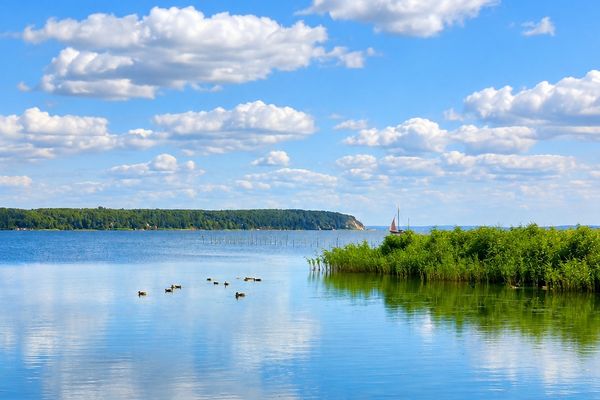  Neeberger Bootshus am Achterwasser Neeberg - Landschaft