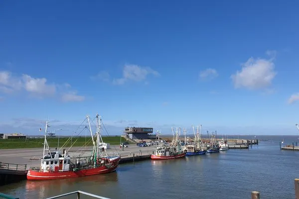 Landschaft  Ferienhaus Tintenfisch