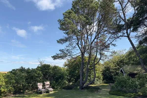 Garten  Friesenhaus Waastwinji