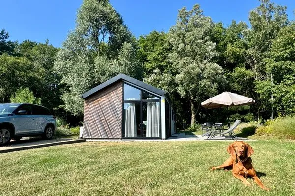  EuroParcs Maasduinen Chalet am Waldrand mit Airco, Hunde willkommen Nr. 312