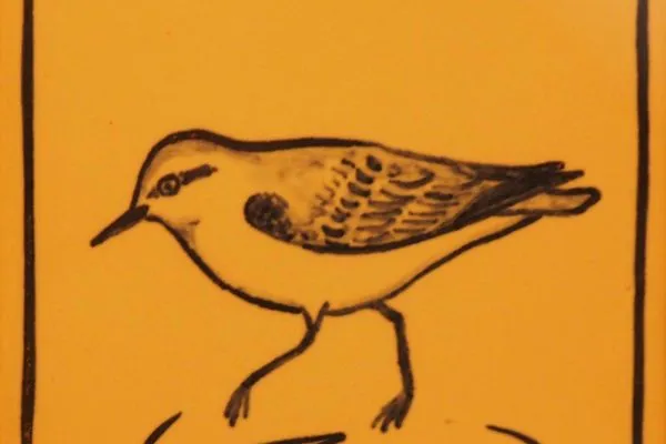 Wohnung Strandläufer Haus Hammersee Ferienwohnung Strandläufer