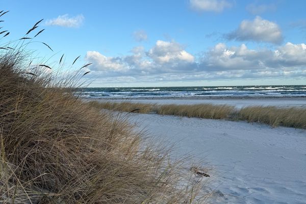 RESIDENZ KORMORAN Residenz Kormoran, App. Seezeichen Ostseebad Prerow - 